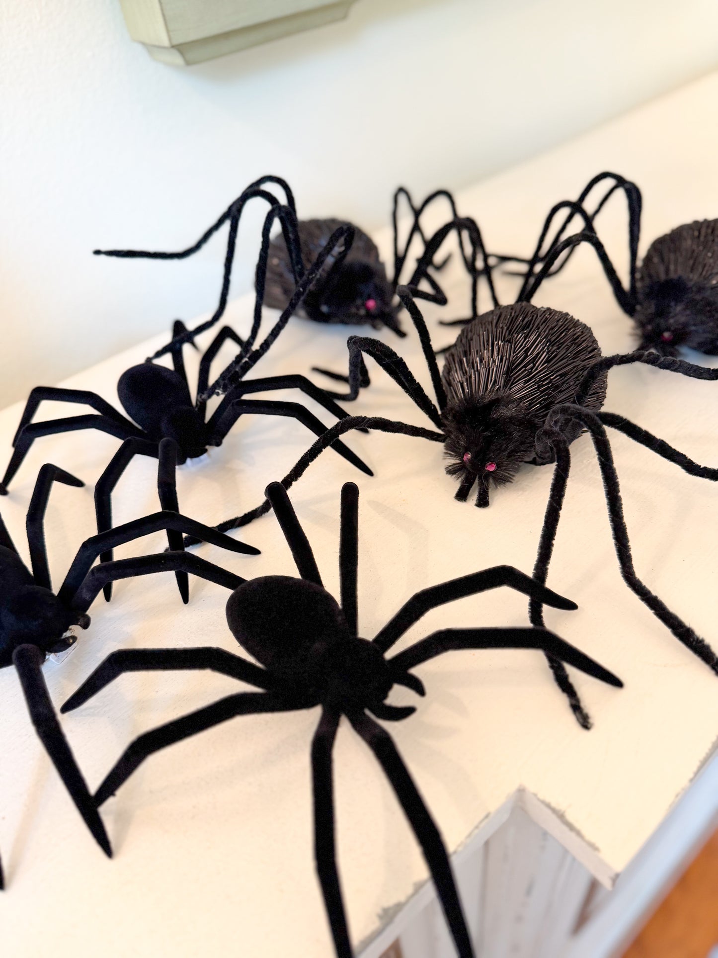 Creepy Crawler Spider Collection