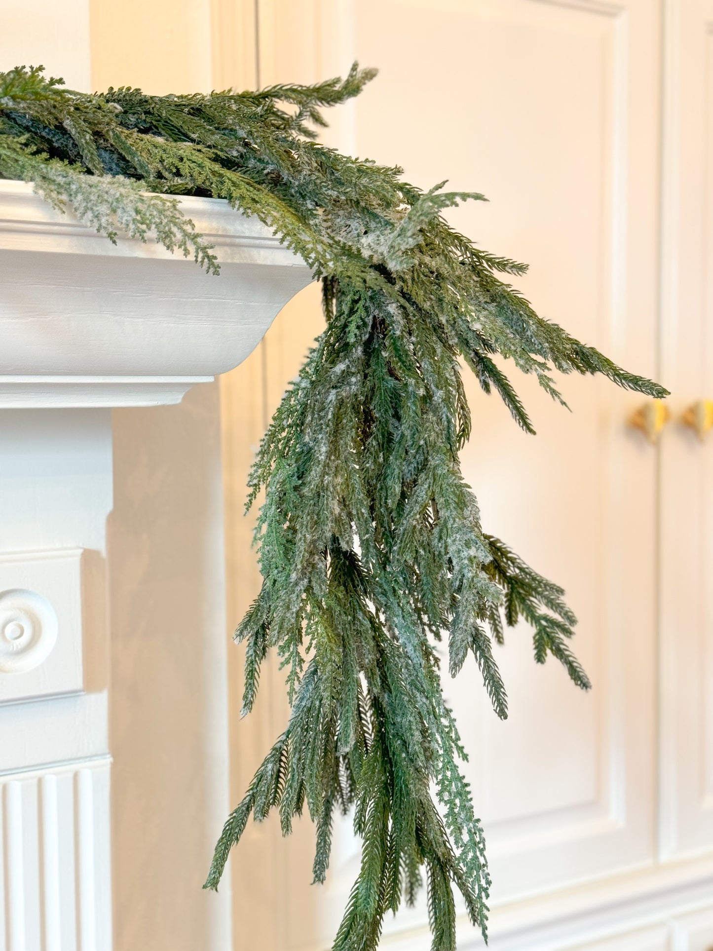 Norfolk Pine W/Snow