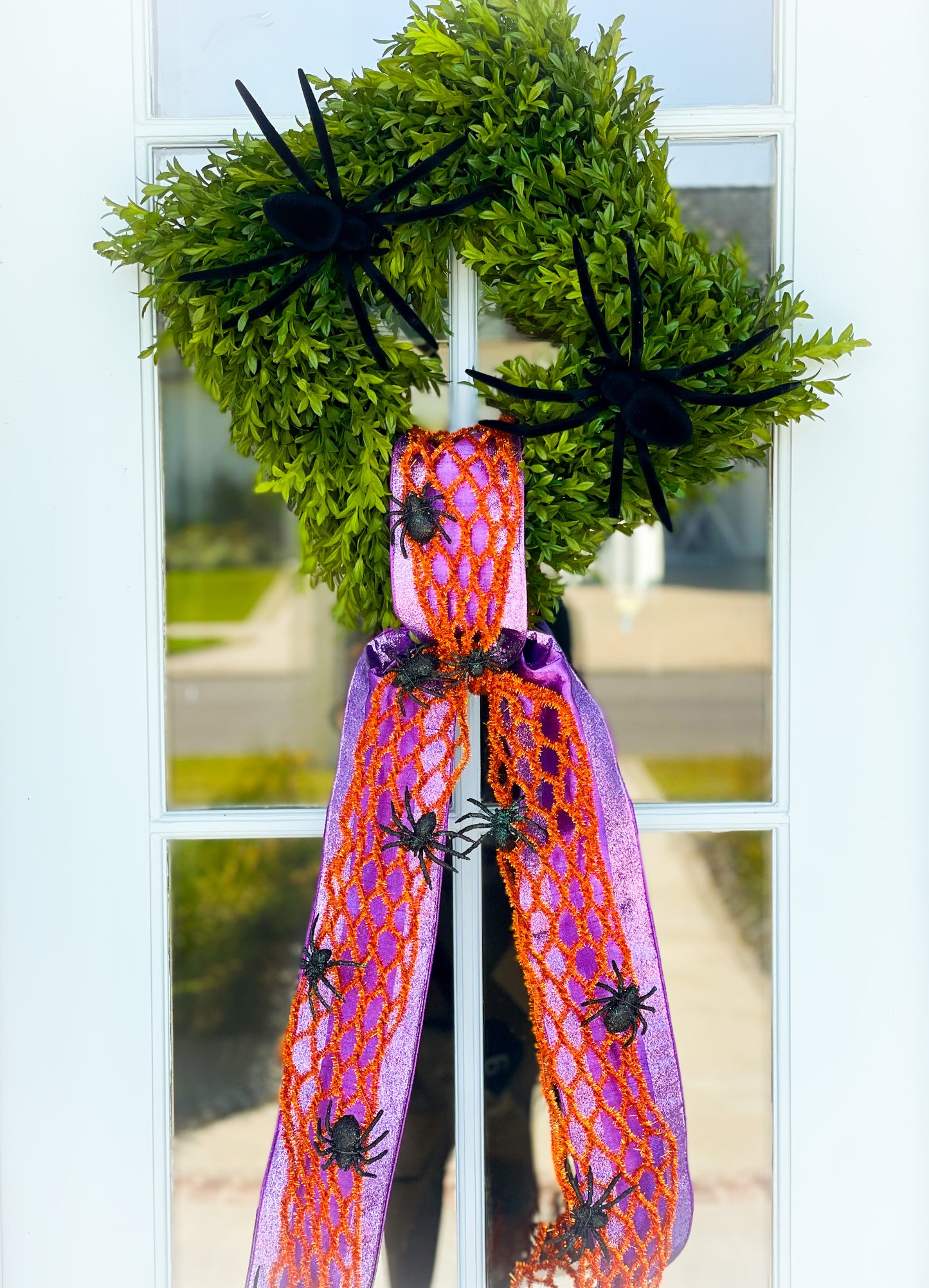 Autumn Arachnids Wreath And Sash