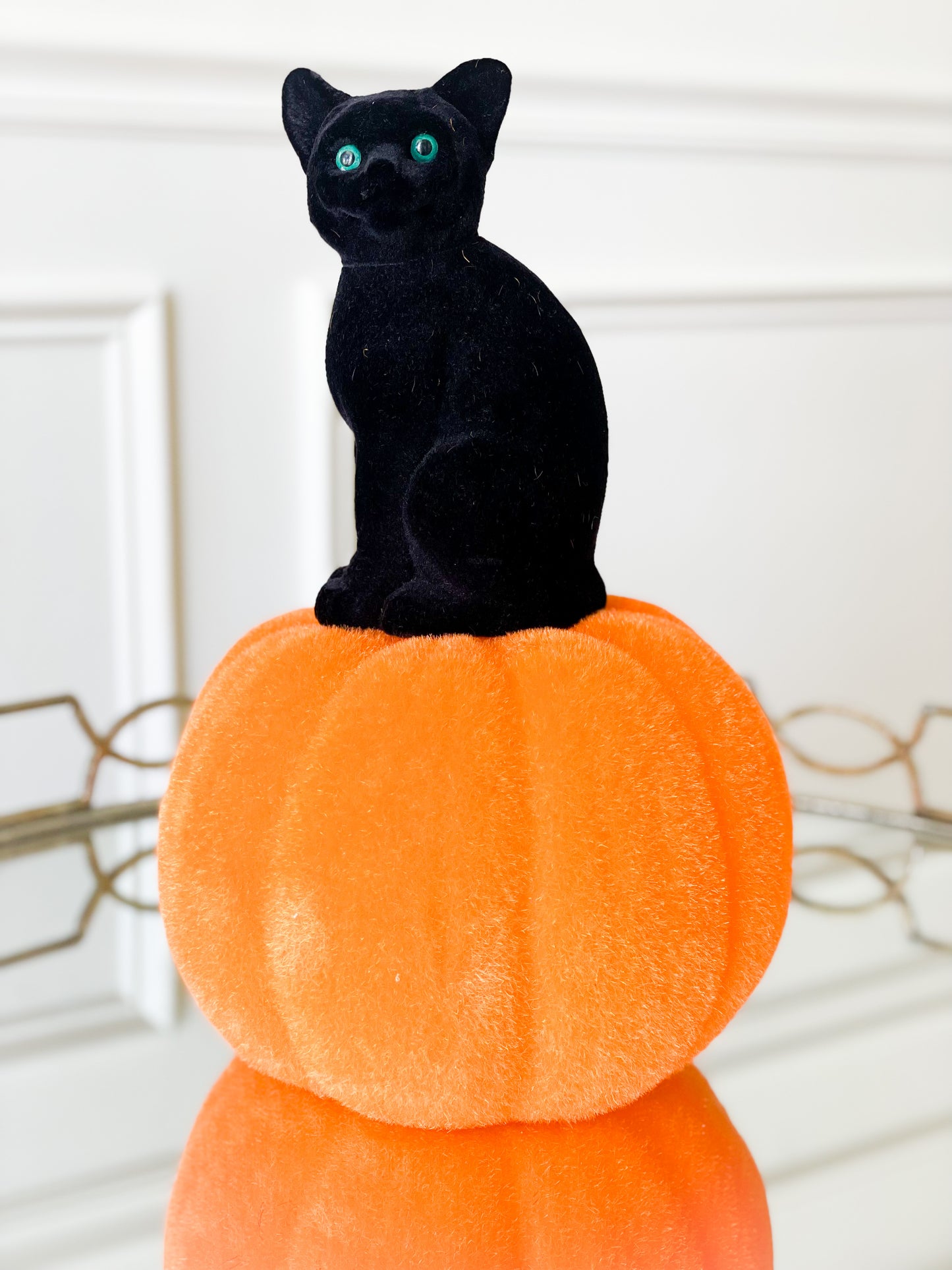 Black Cat On Pumpkin