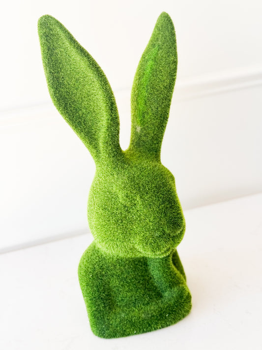 Moss Bunny Head