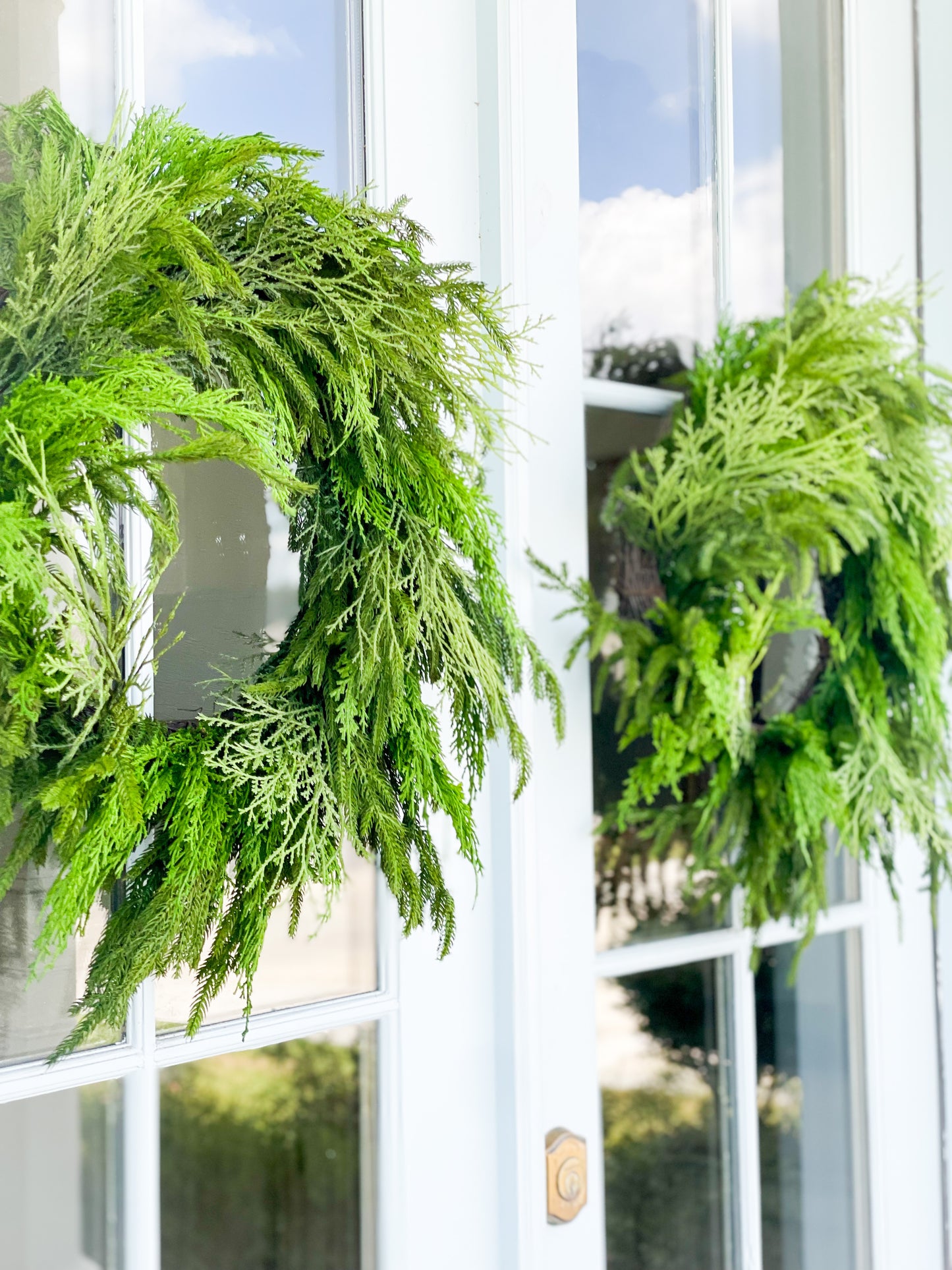 Norfolk Pine/ Cypress Mixed Wreath