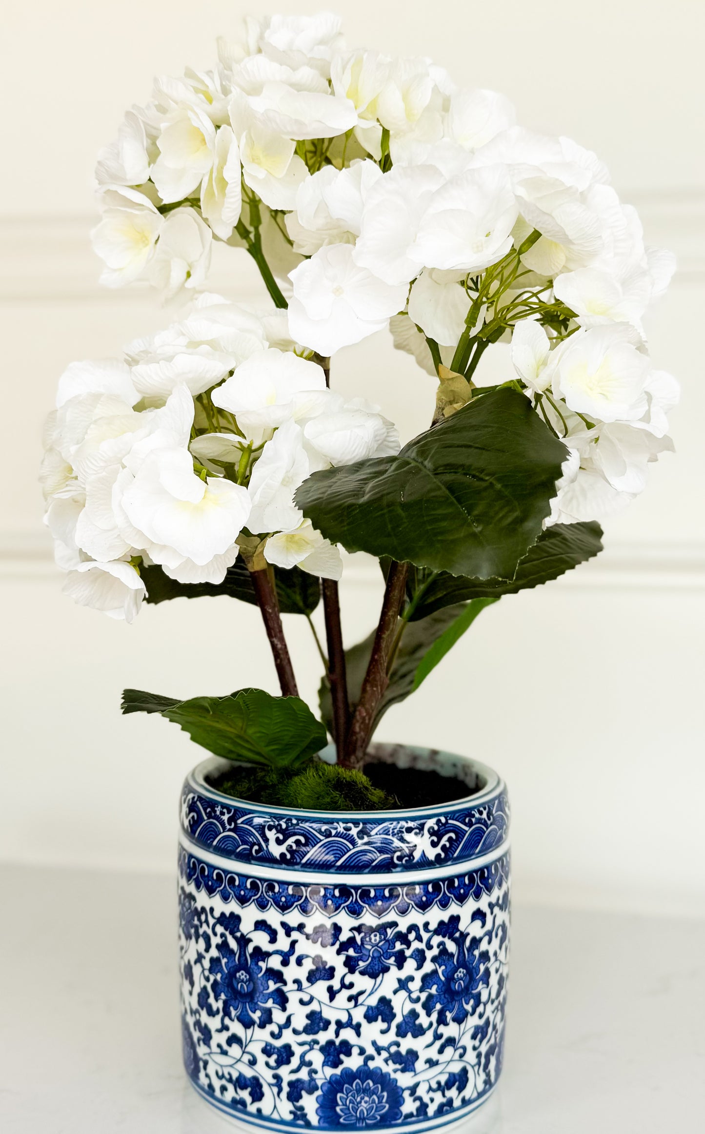 Hydrangea Plant In Ceramic Planter