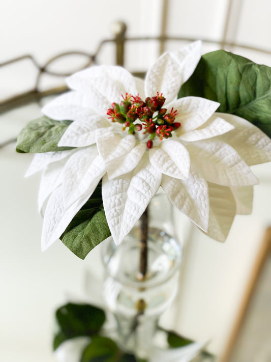 Velvet Poinsettia In Glass Vase With Acrylic Water