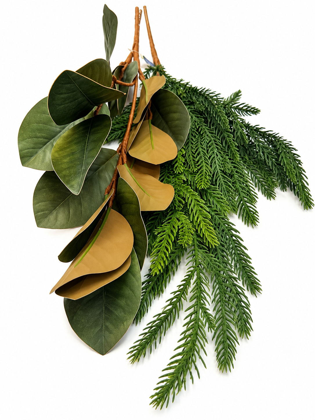Magnolia & Willow Pine Greenery Box