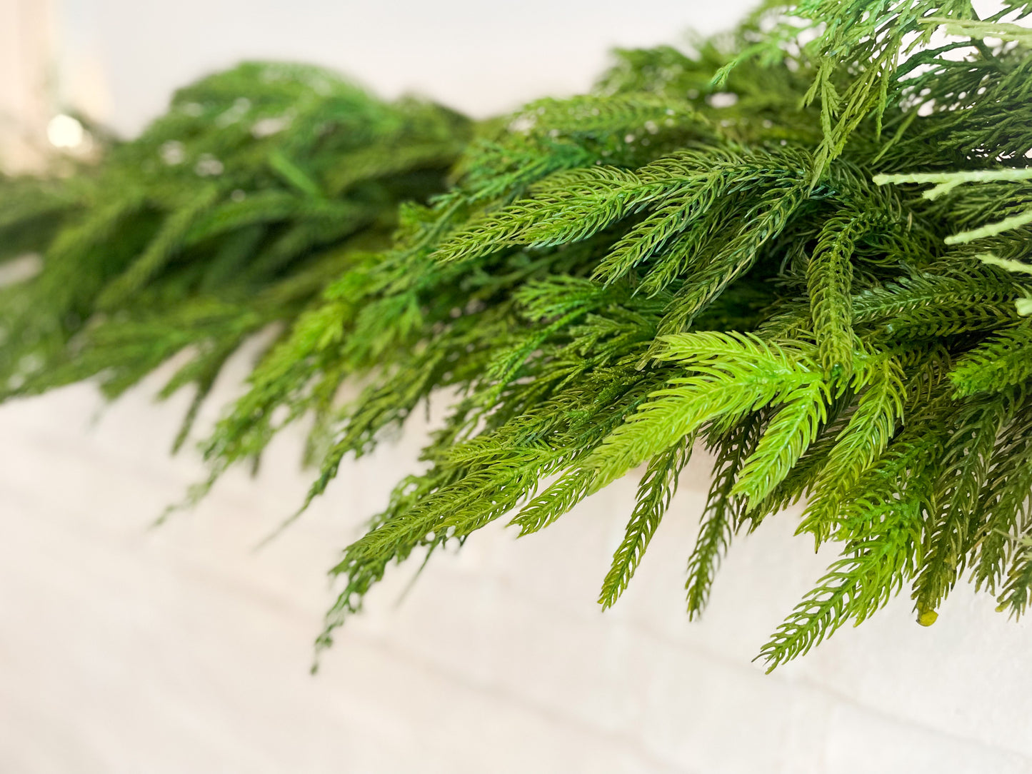 Norfolk Pine/ Cypress Mixed Swag