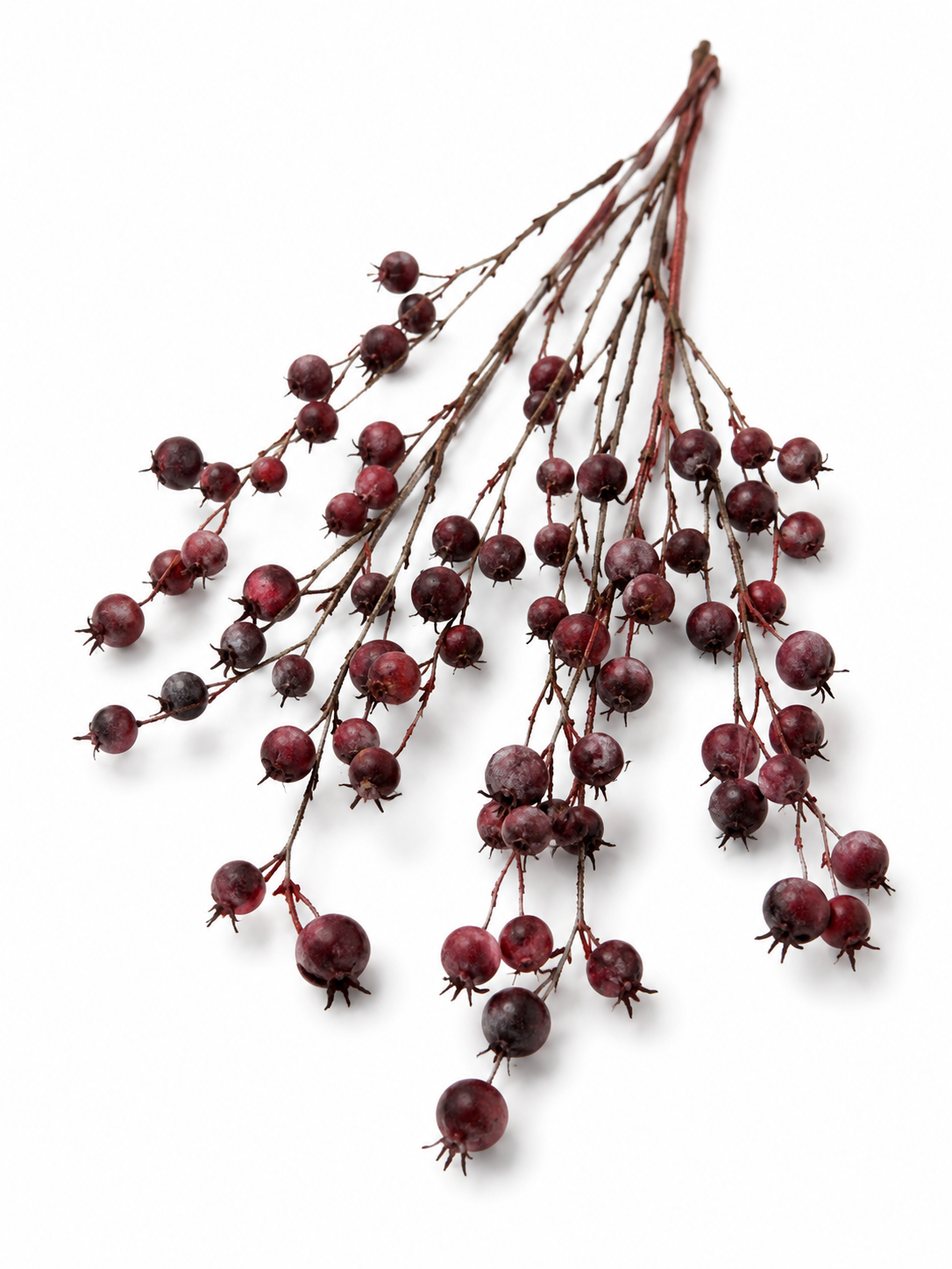 Rosehip Spray Set of 3