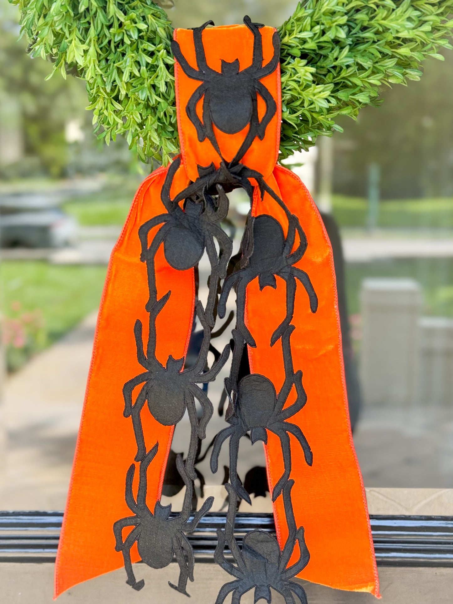 Autumn Arachnid Wreath And Sash