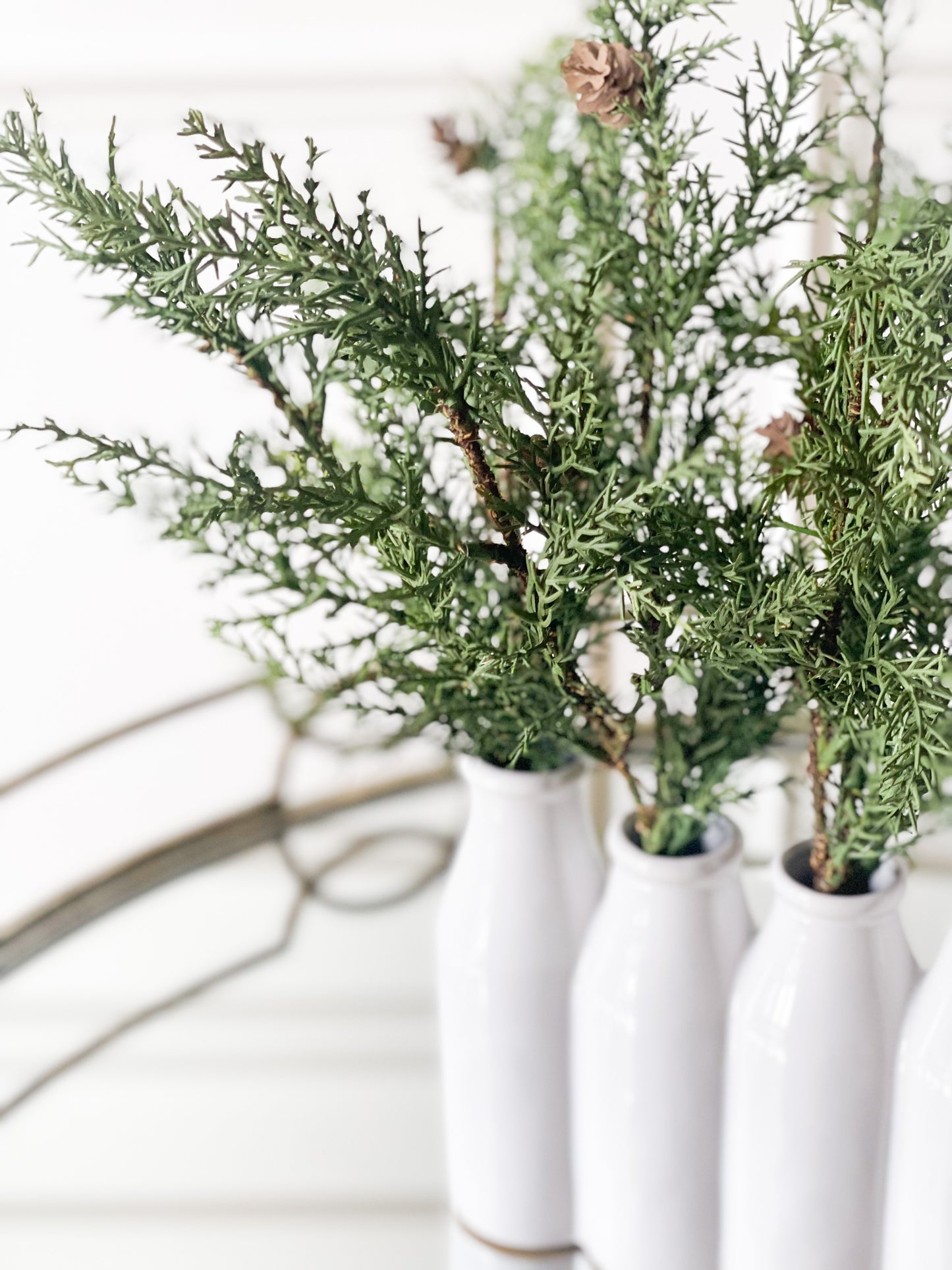 Cedar In White Ceramic Vase