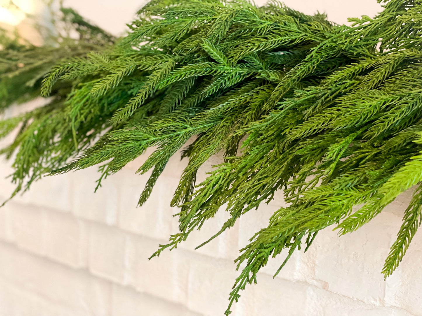 Norfolk Pine/ Cypress Mixed Swag