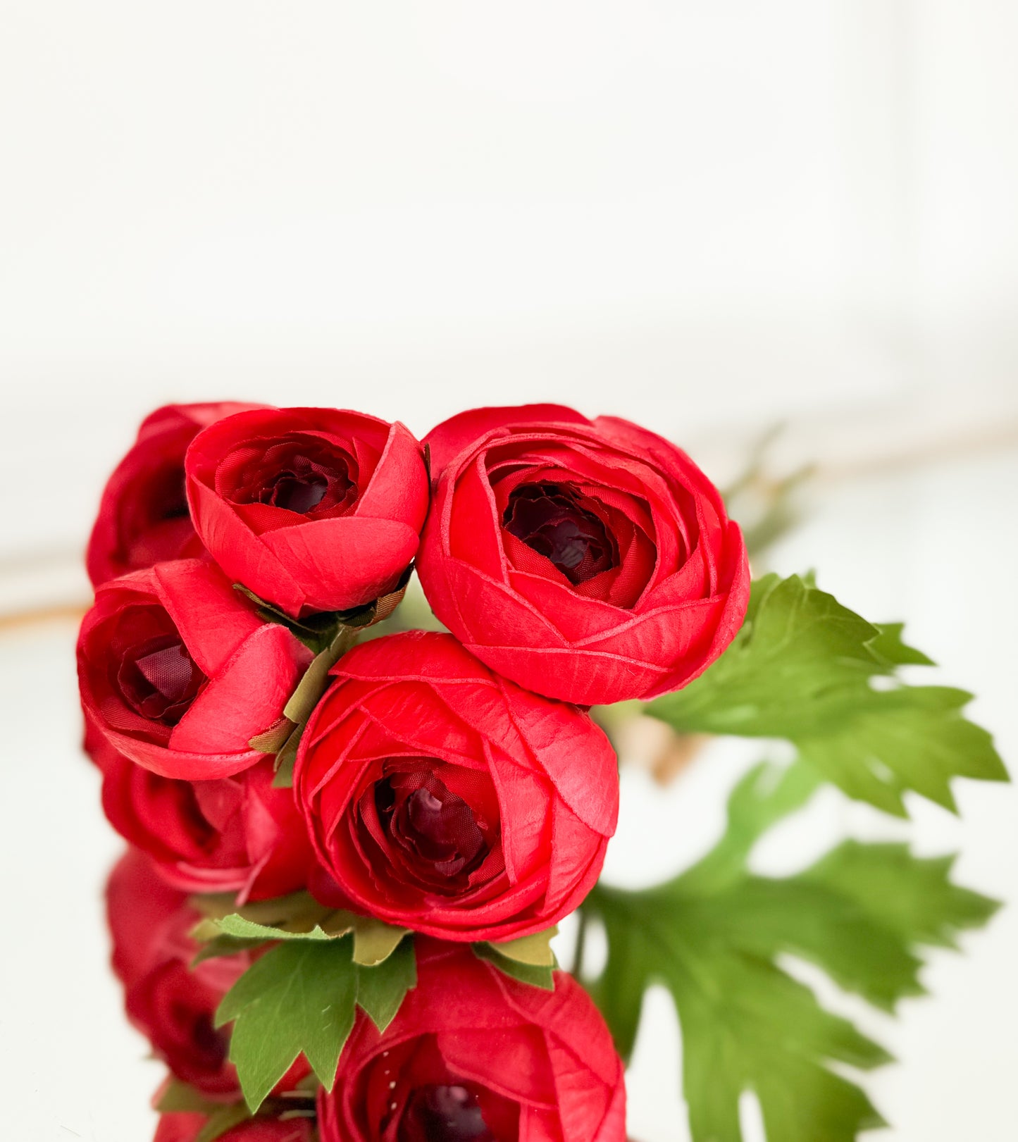 Ranunculus Bundle