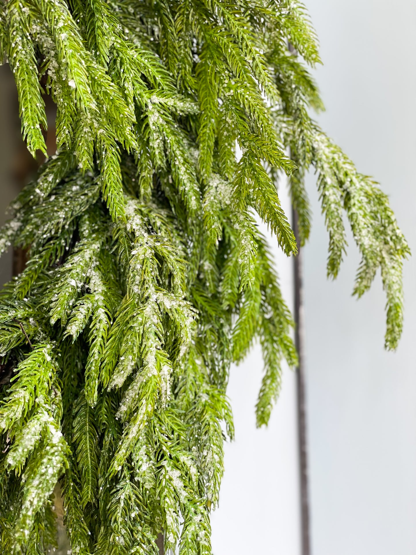 The White Believe Iced Fir Pine Wreath With Sash And Santa