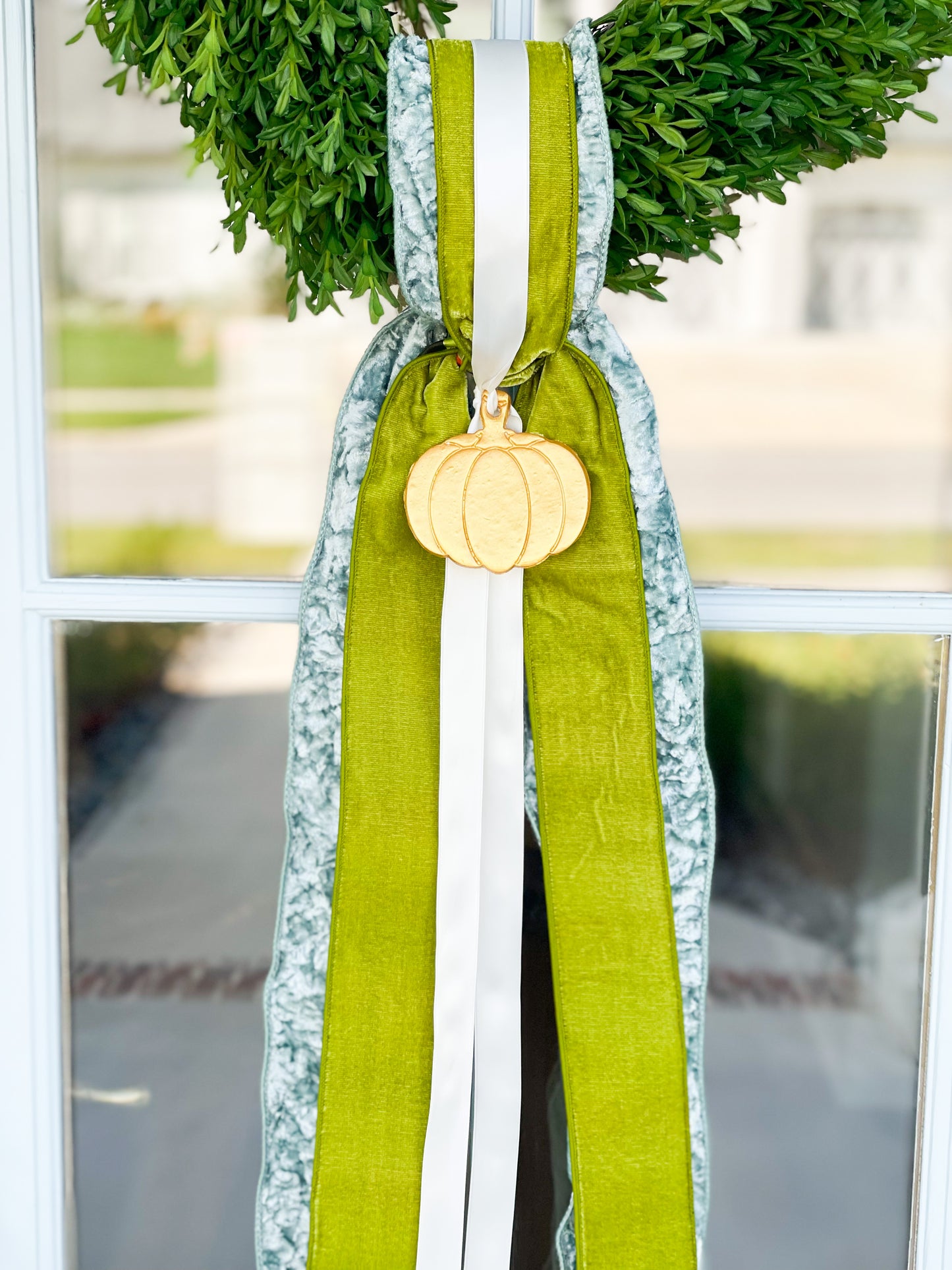 Pumpkin Patch Wreath And Sash
