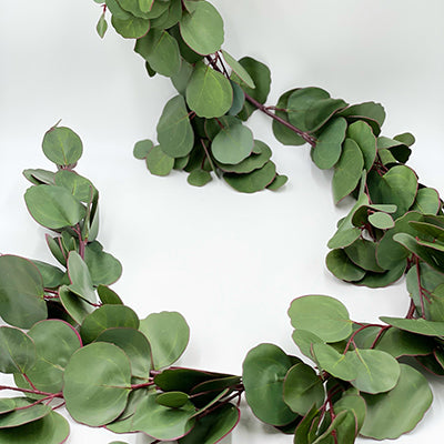 5’ Silver Dollar Eucalyptus Garland