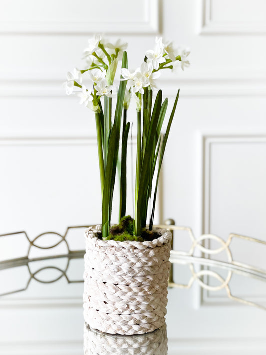 Mini White Silk Lilly In Wicker Planter