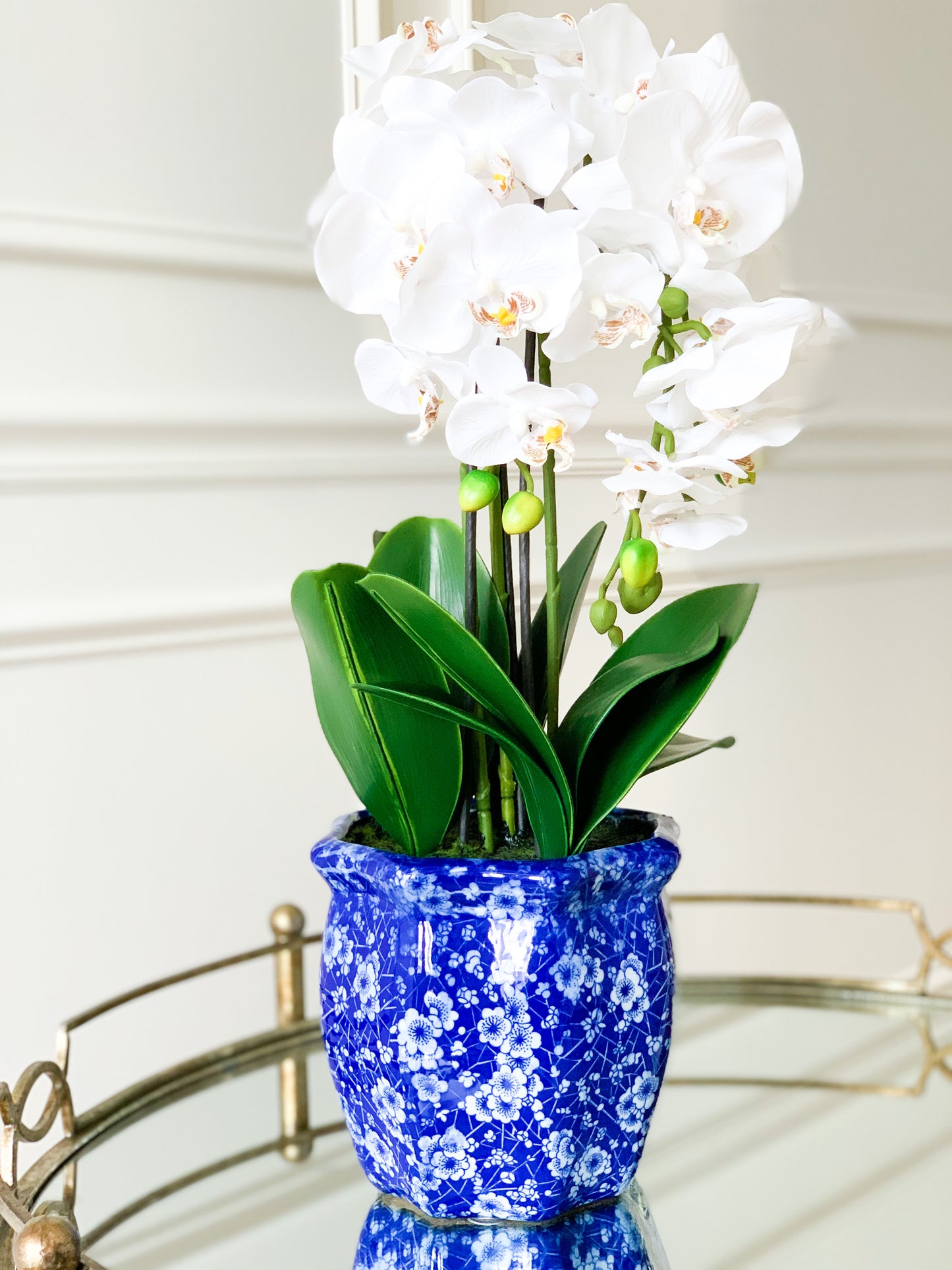 White Orchid Bundle in Chinoiserie Pot
