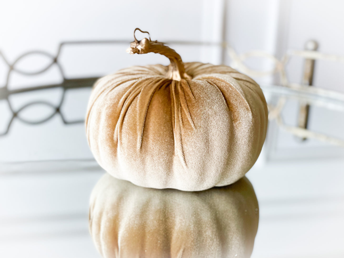 The Gather Pumpkin Blanc Box