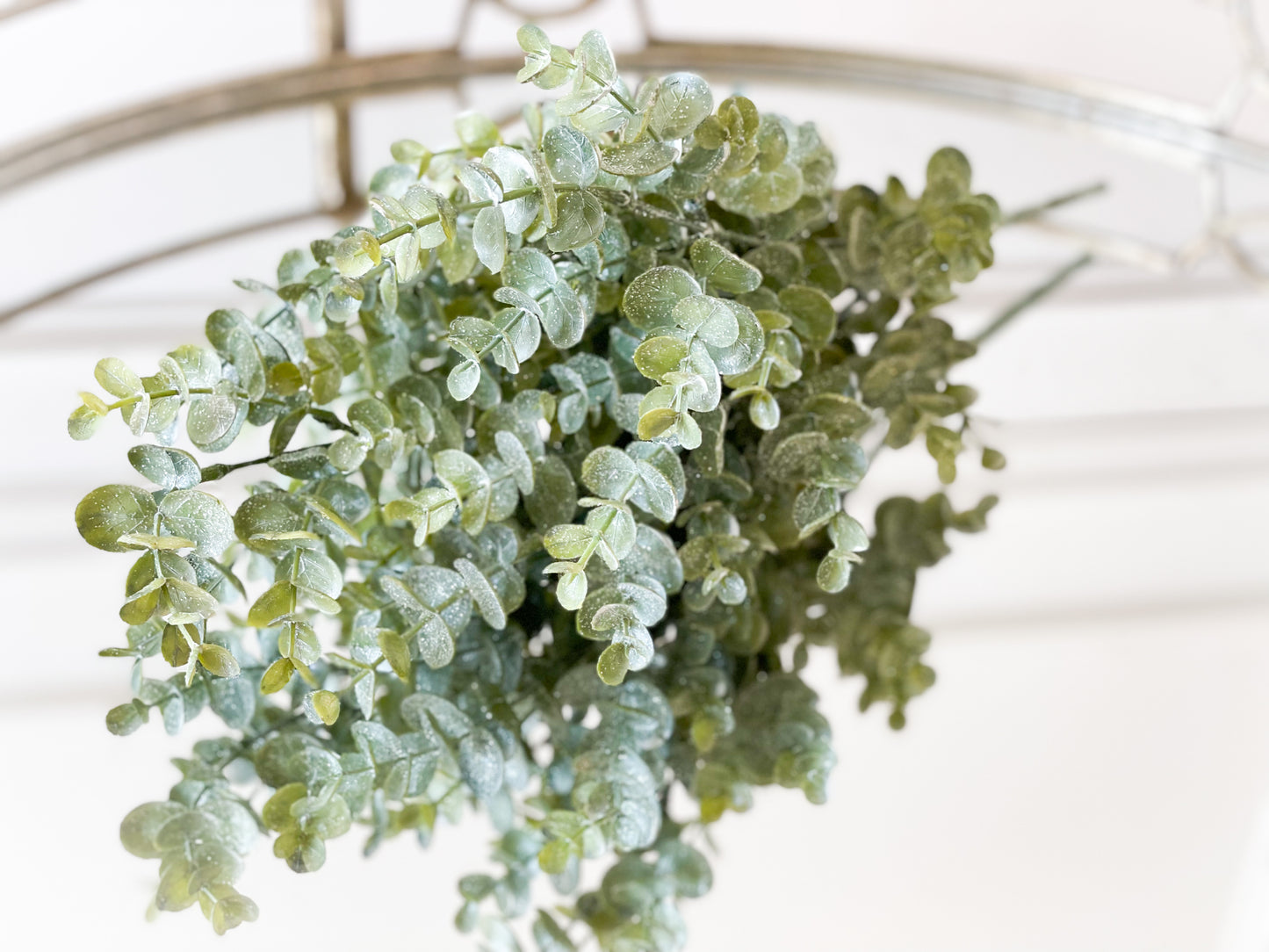 Fall Foliage Blanc Box