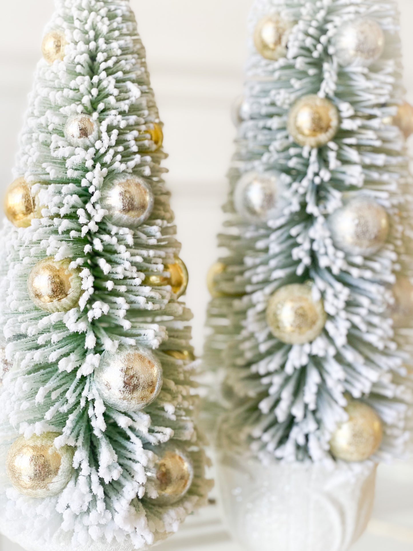 Set Of 2 Gold/Silver Bottle Brush Tree In Urn