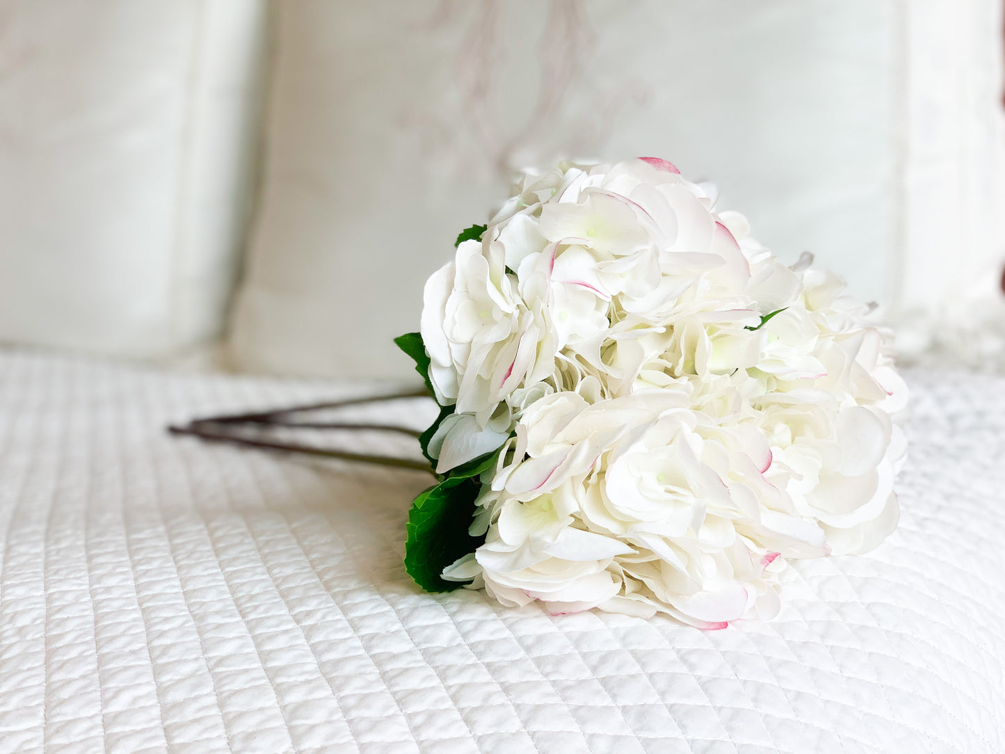 White Long Stem Hydrangea