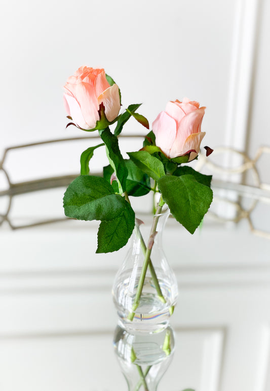 Coral Double Rosebud In Glass Vase With Acrylic Water