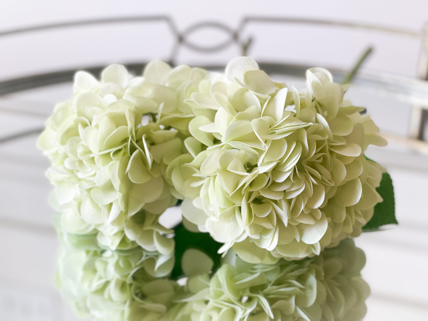 The Charolette Blanc Box Bouquet