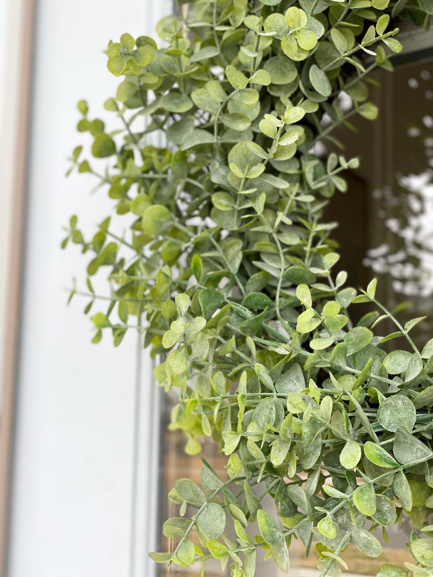 Frosted Eucalyptus Wreath