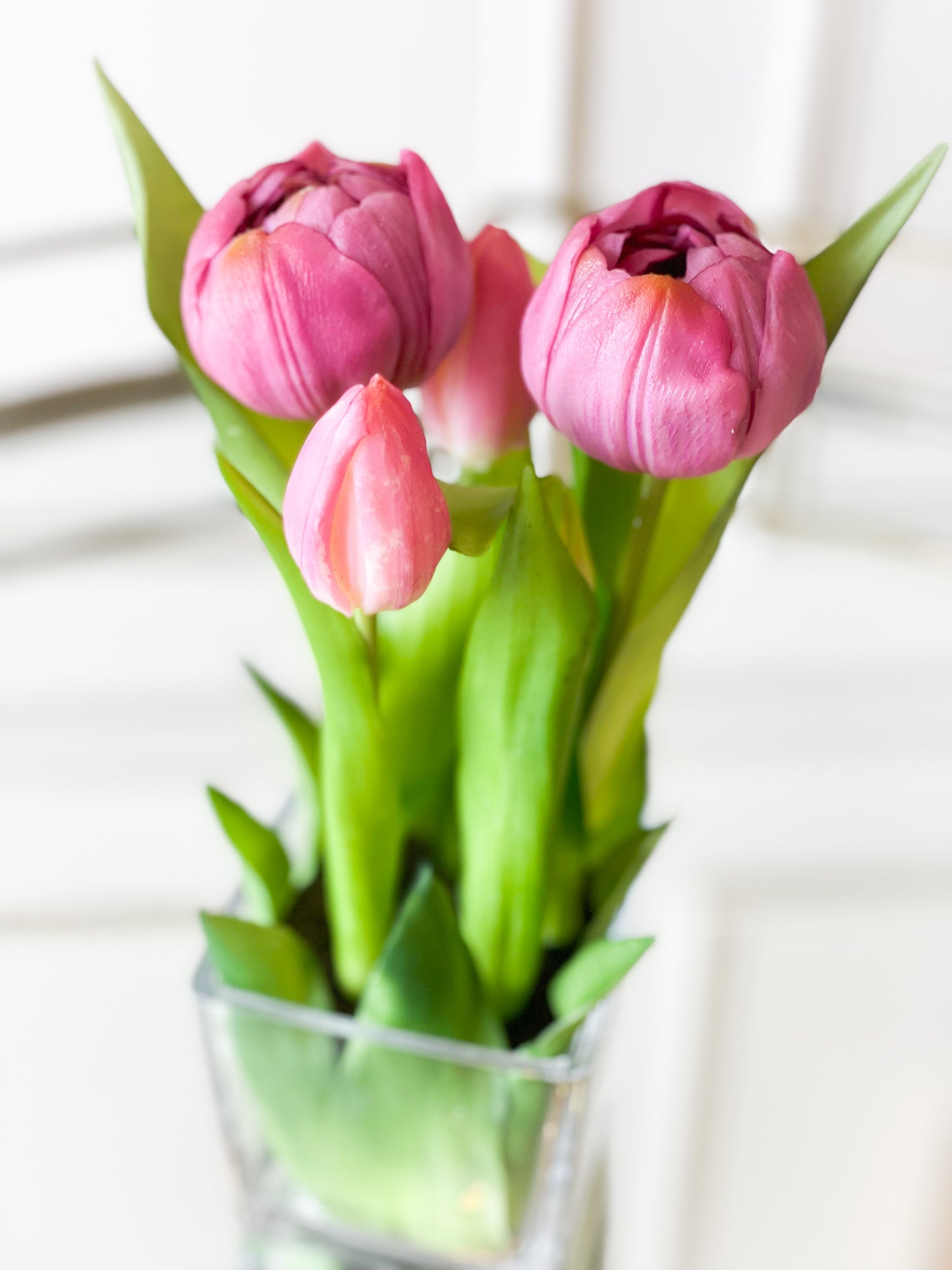 Purple Tulips In A Glass Vase