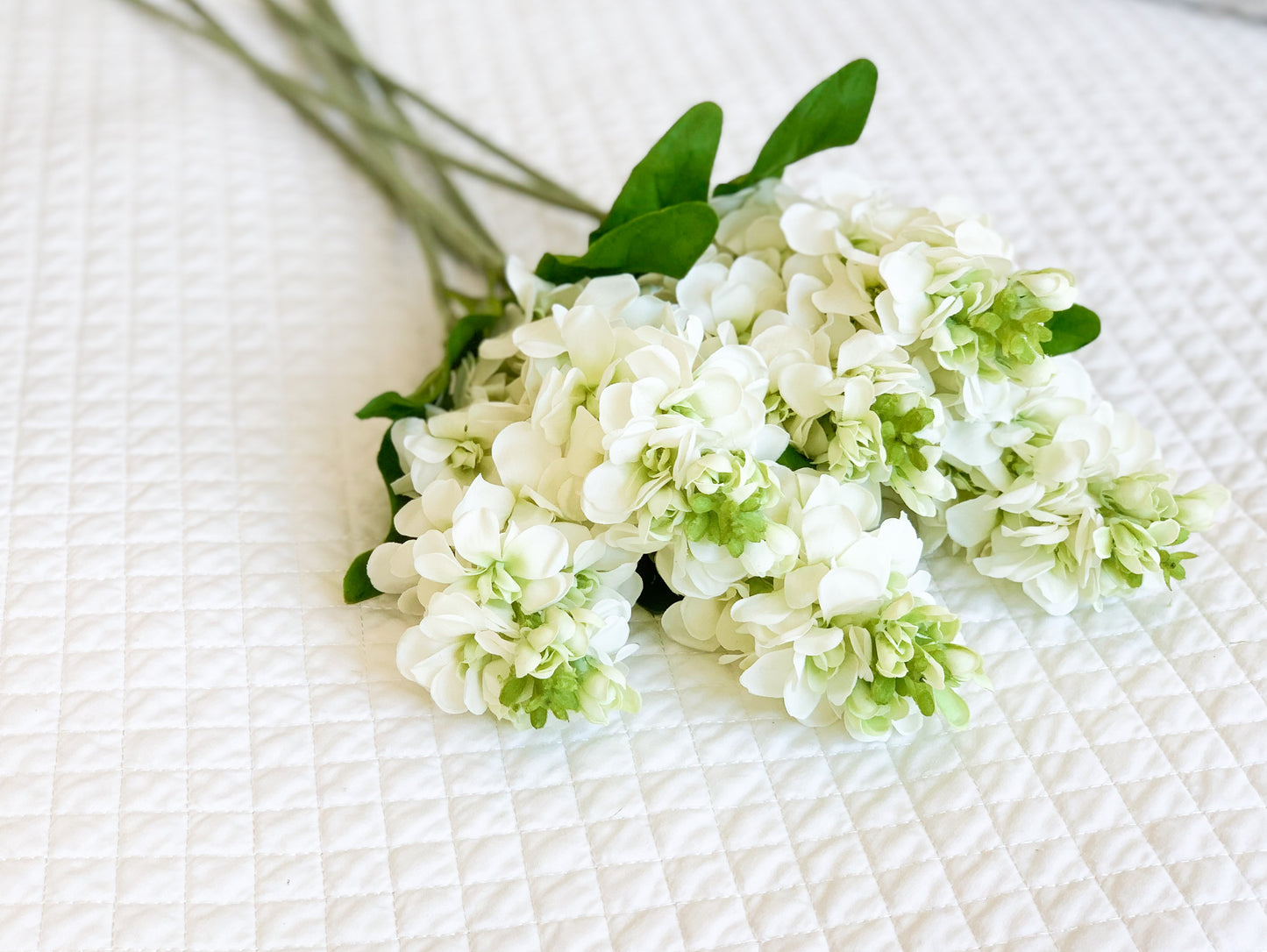White Just Cut Stock