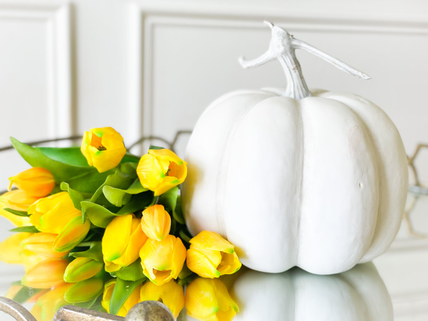White And Cream Pumpkin With With Stem