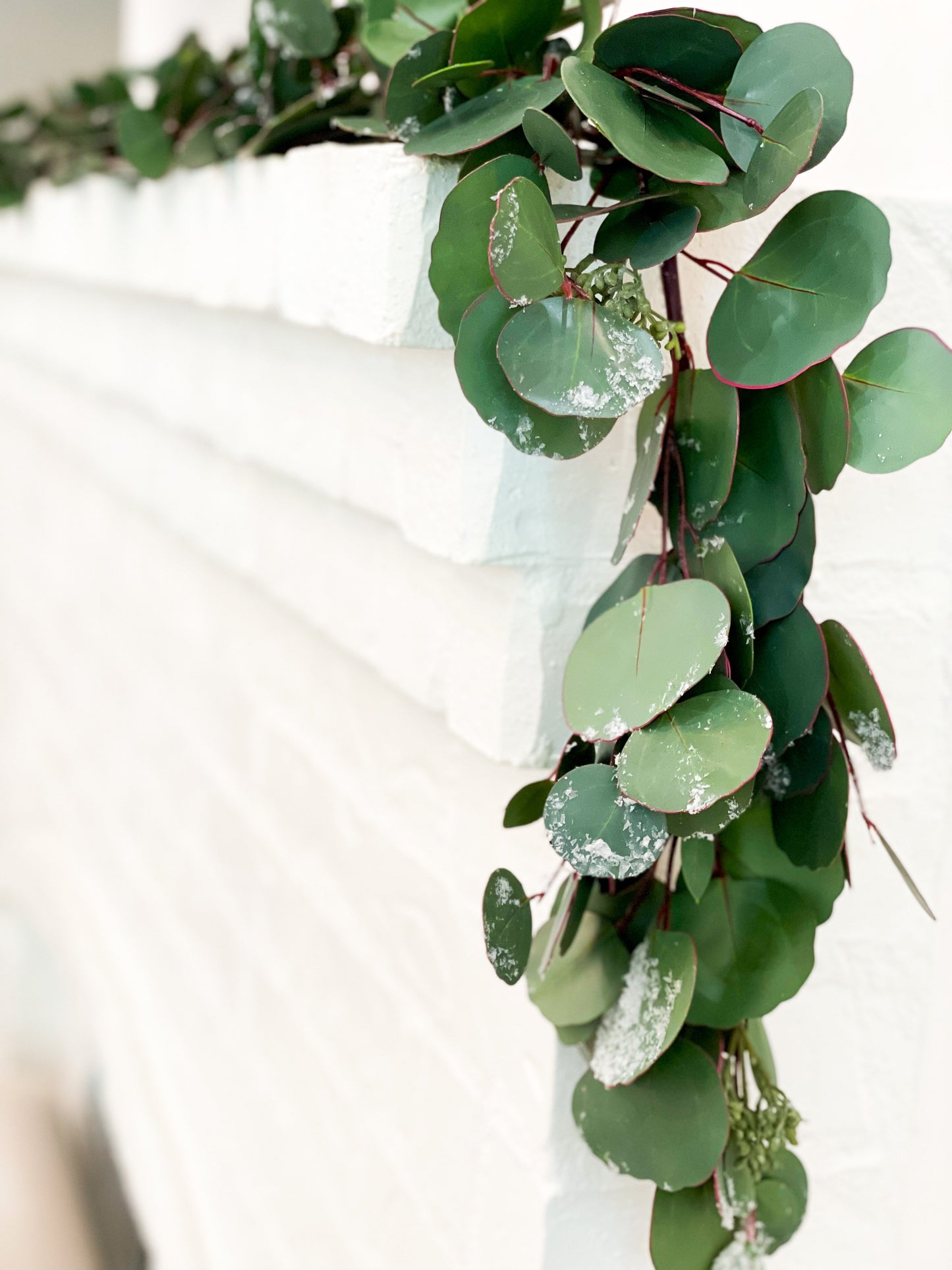Snowy Silver Dollar Eucalyptus Garland