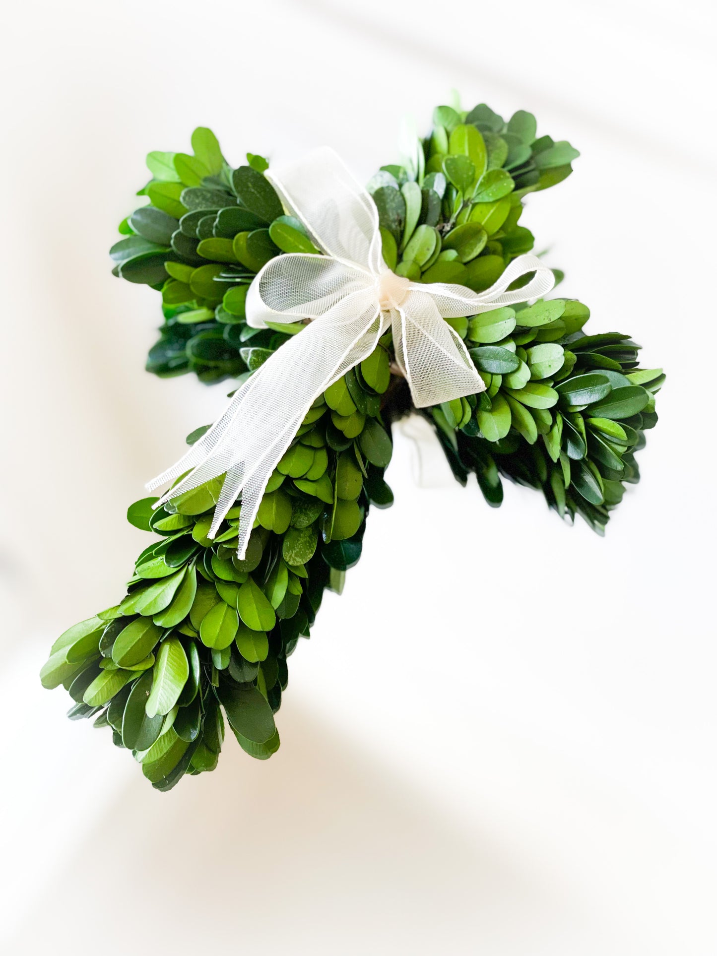 Petite Preserved Boxwood Cross With Sheer Bow