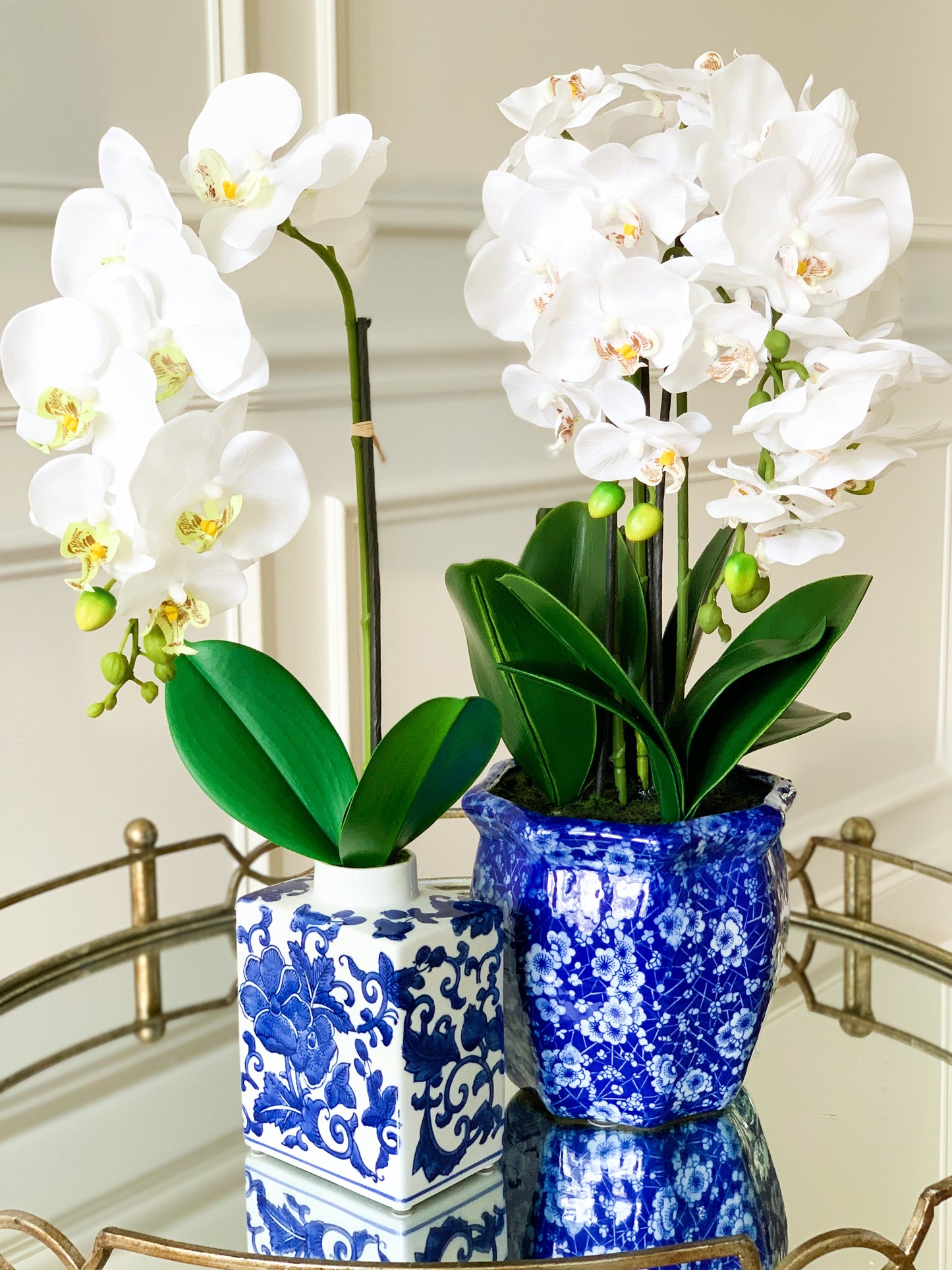 White Orchid Bundle in Chinoiserie Pot