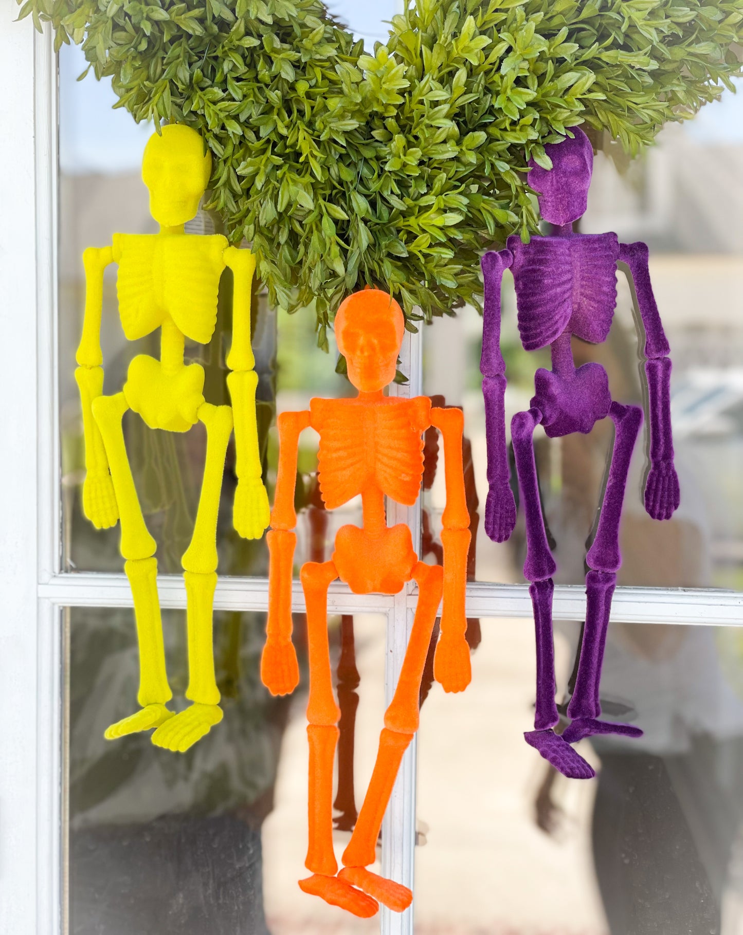 Petite Skeleton Trio
