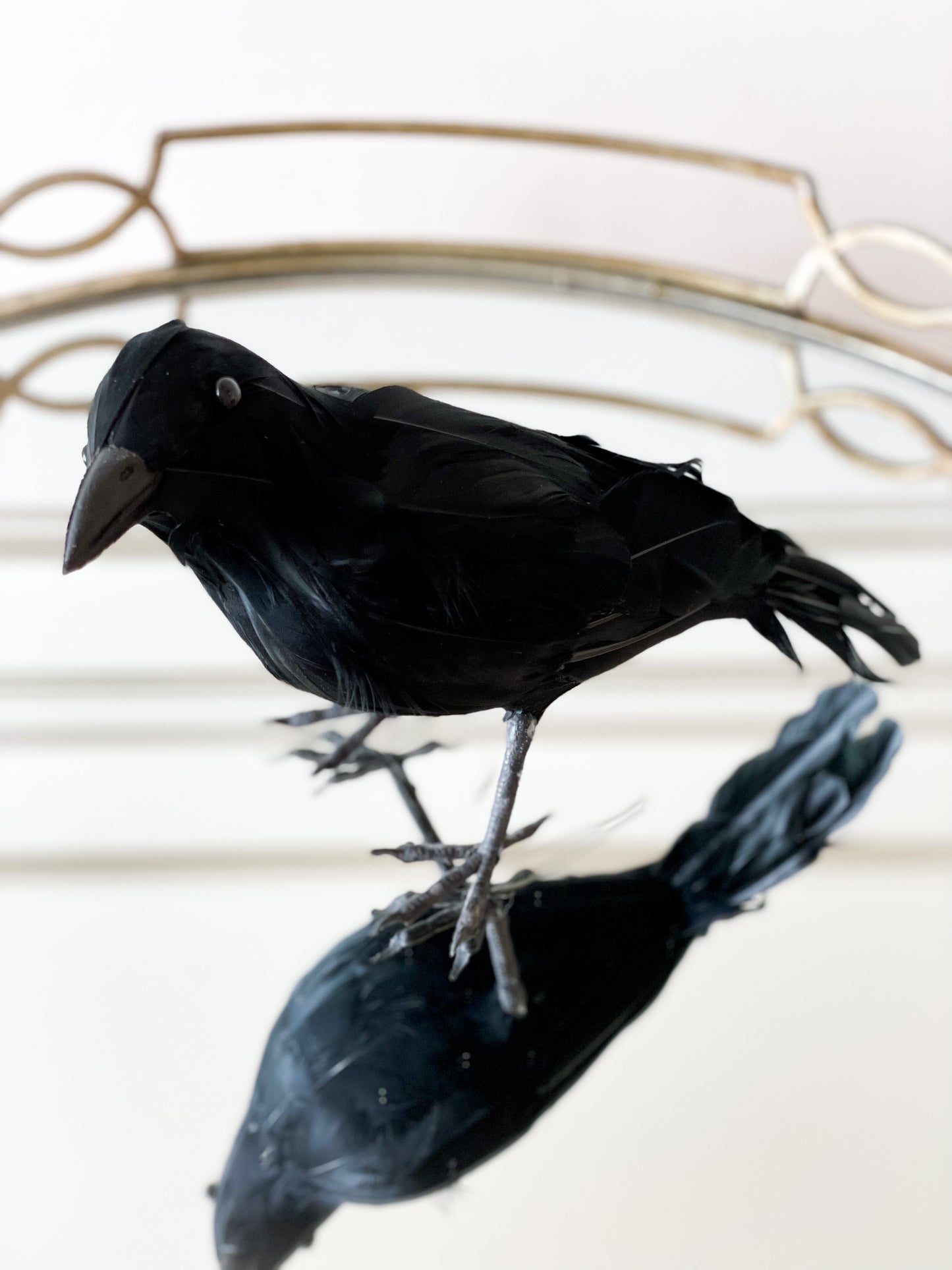 Black Crow