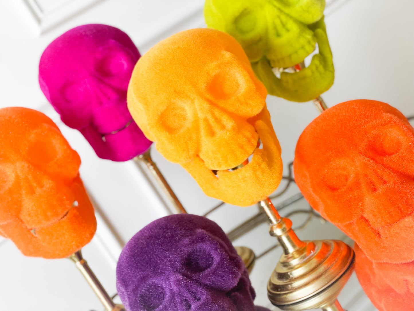 Set Of Two Flocked Skull Yellow-Orange/Orange