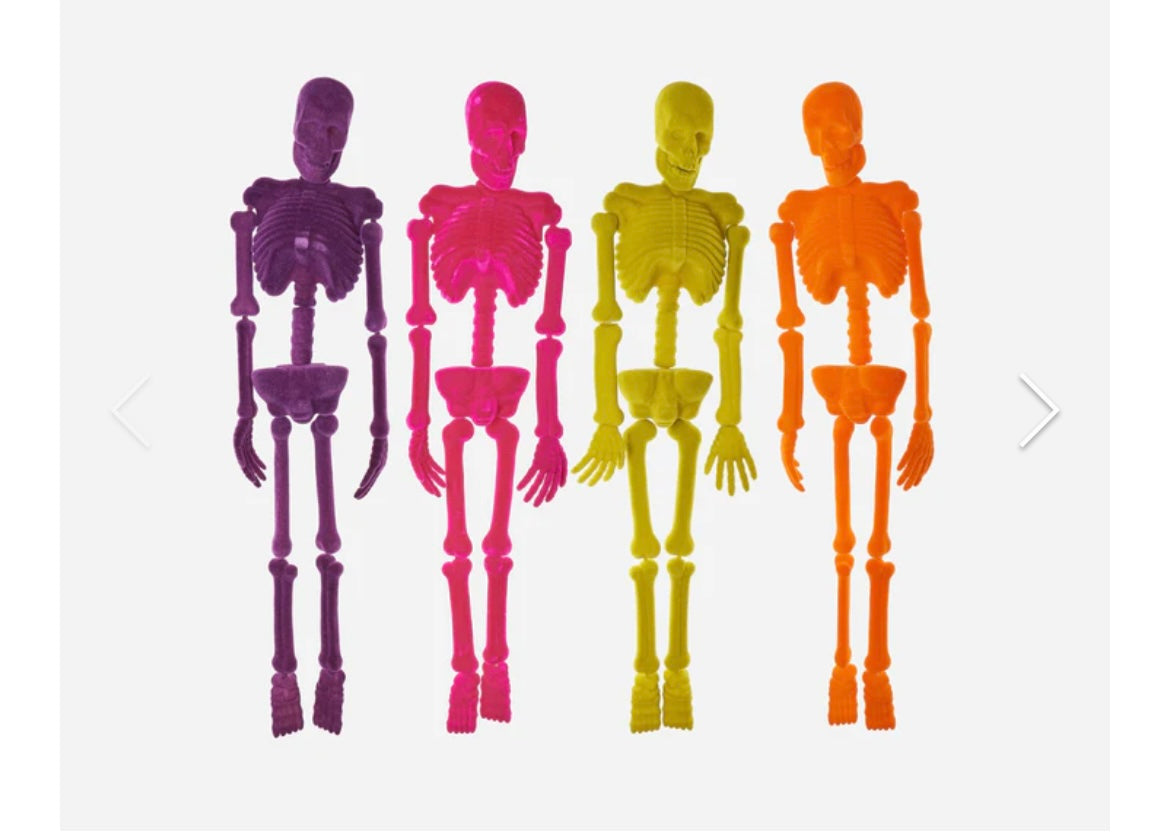 Flocked Life-Size Skeleton