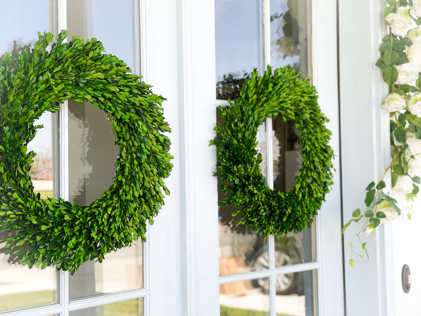 Preserved Round Boxwood Wreath
