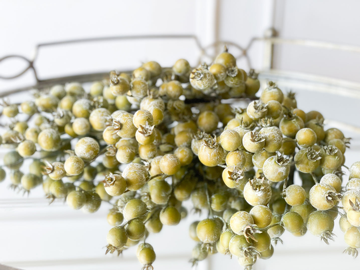 Crisp Coral and Pumpkins Blanc Box