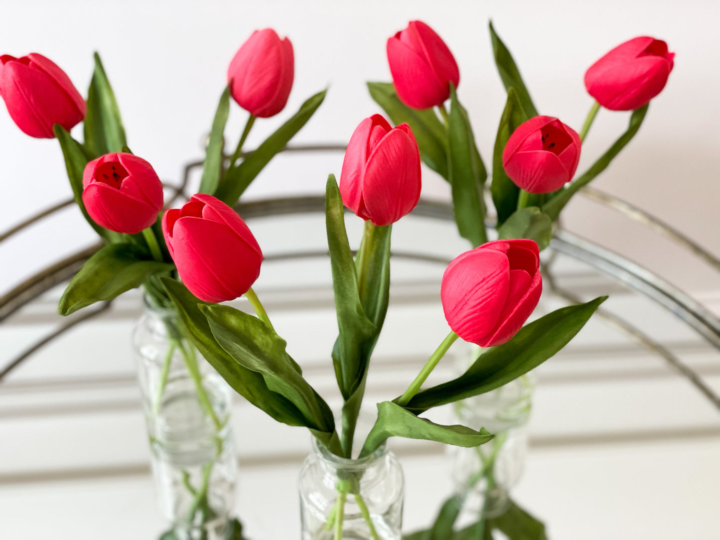Red Tulip In Glass Vase
