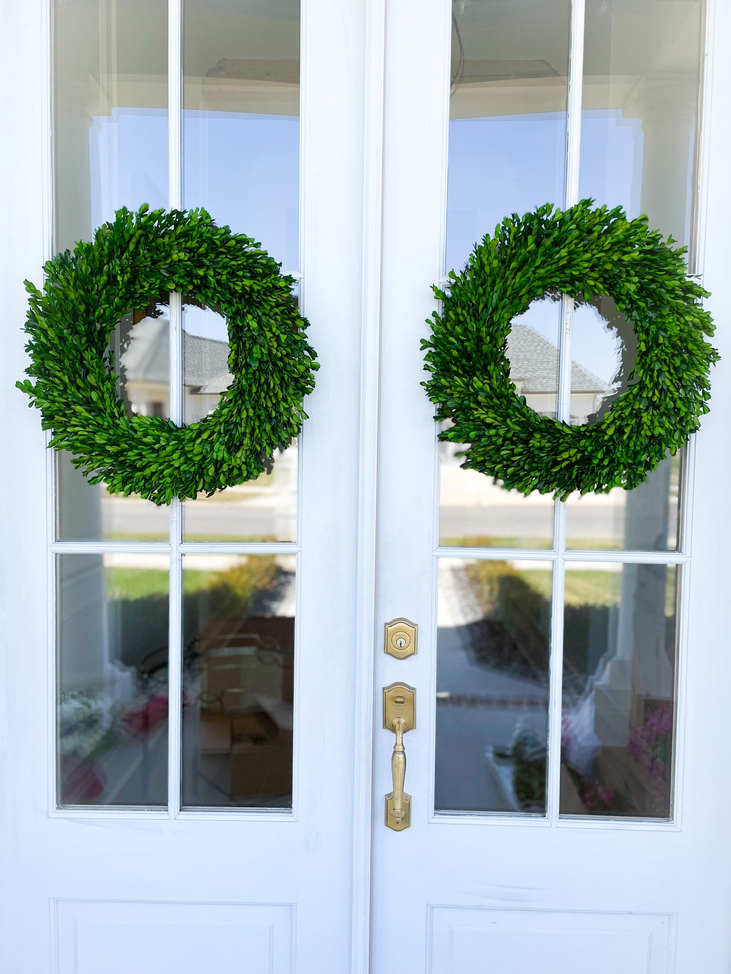 Preserved Round Boxwood Wreath