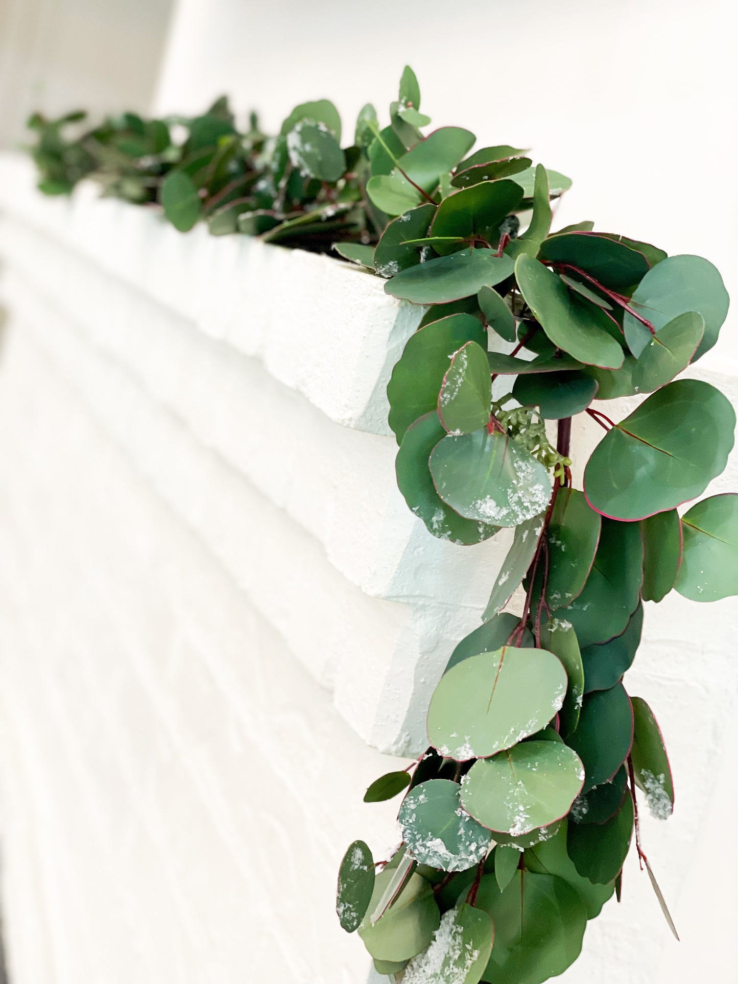 Snowy Silver Dollar Eucalyptus Garland