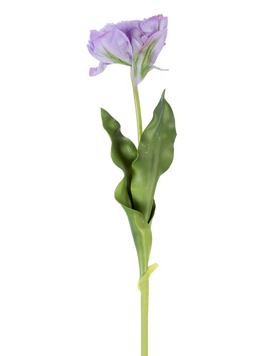 Fresh Touch Lavender Double Tulip