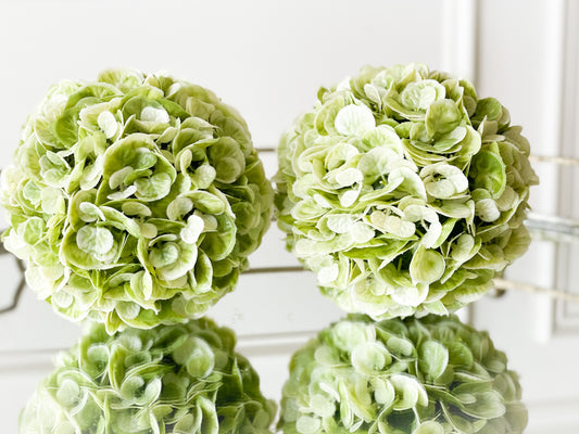 Set Of Two Large Cabbage Boxwood