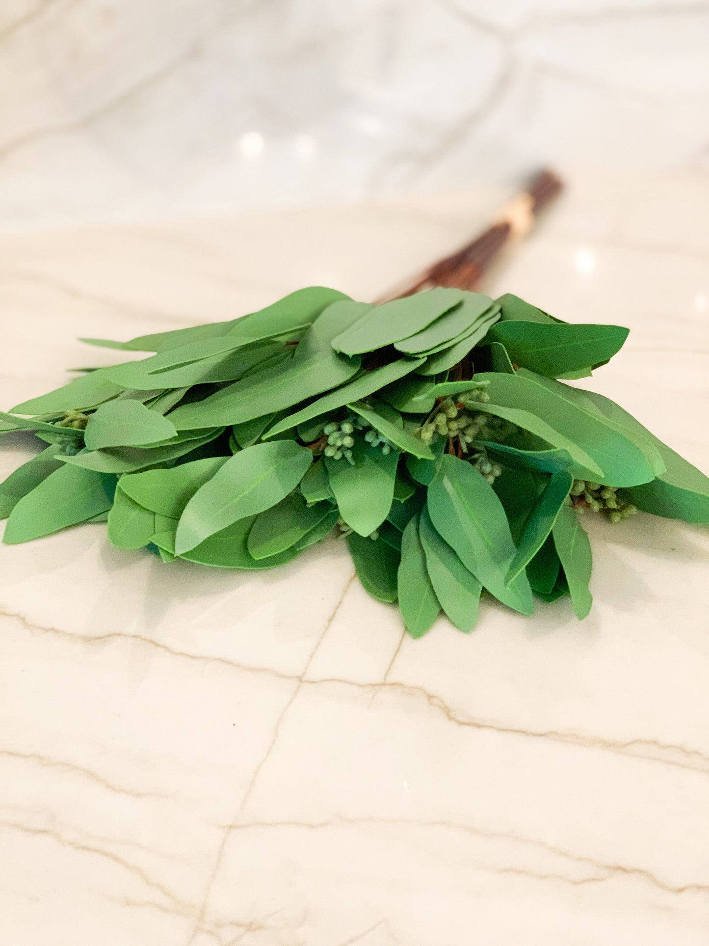 Long Leaf Eucalyptus Bundle