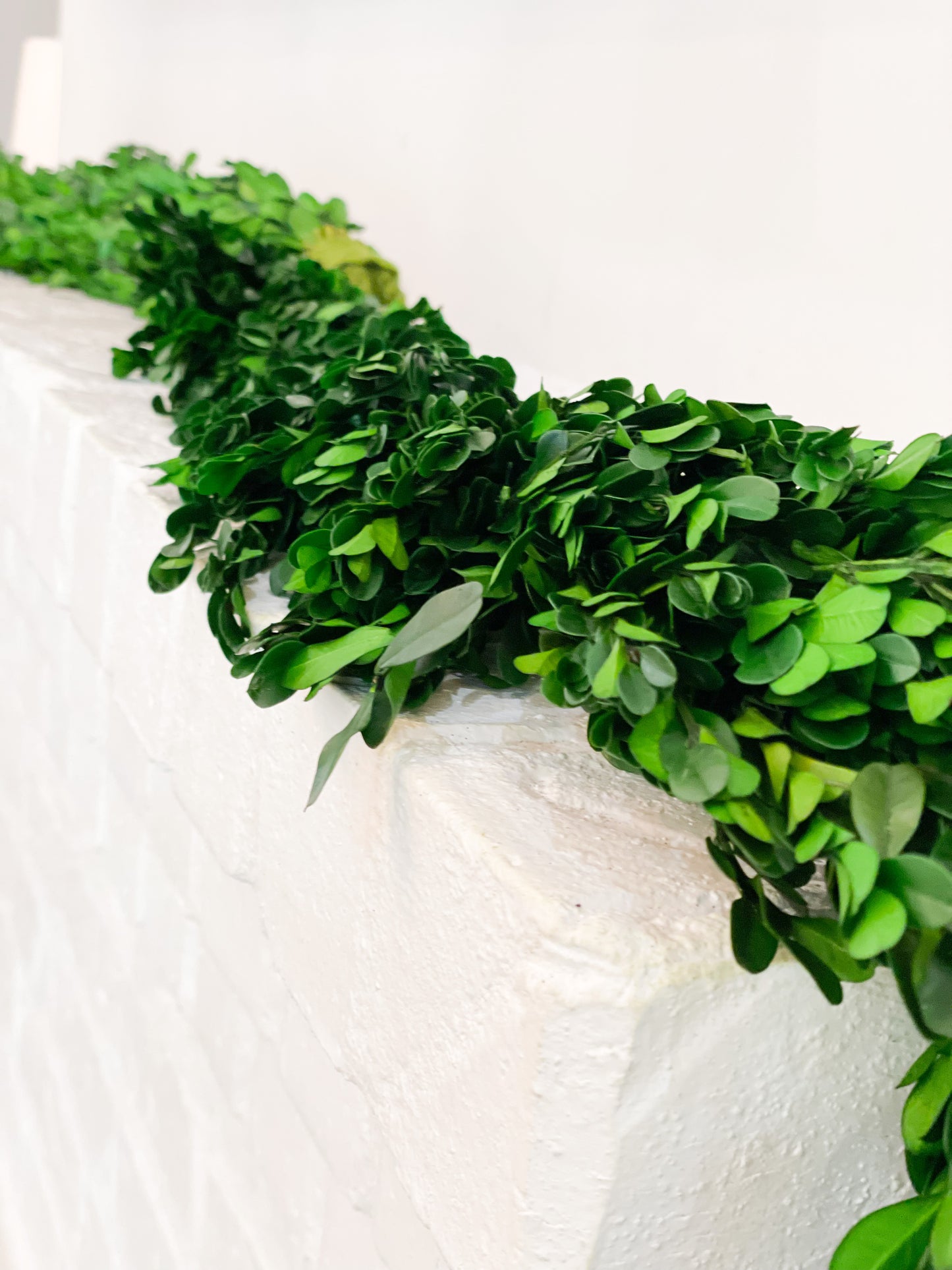Preserved Boxwood Garland With Seeds