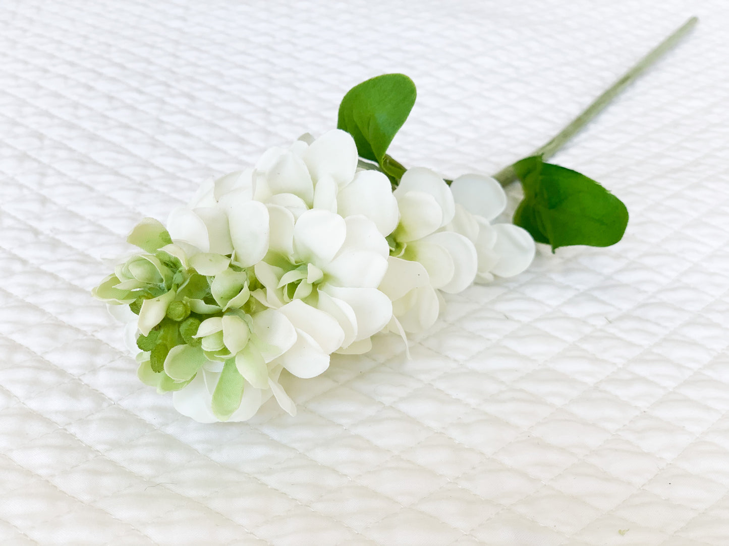 White Just Cut Stock