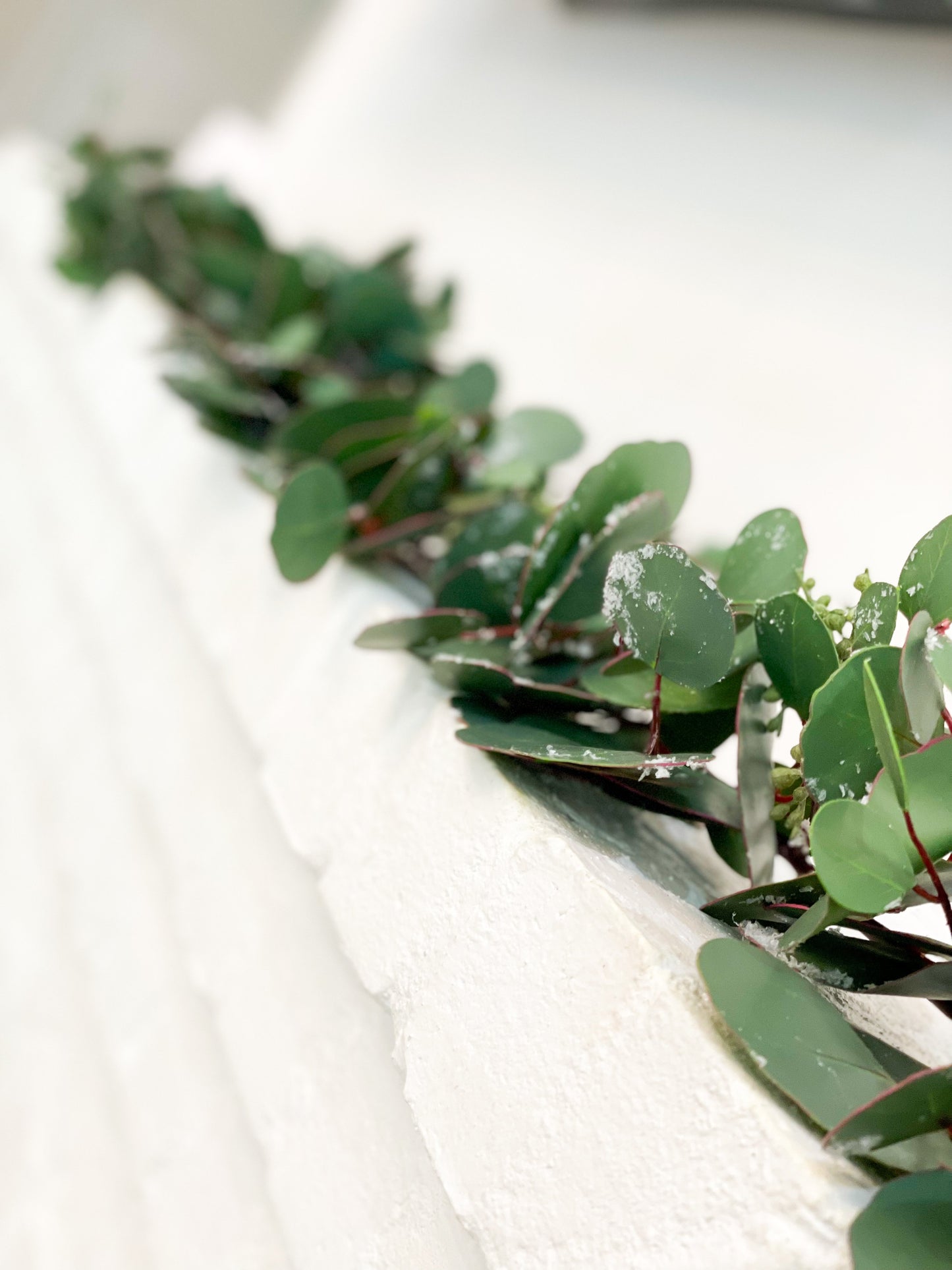 Snowy Silver Dollar Eucalyptus Garland