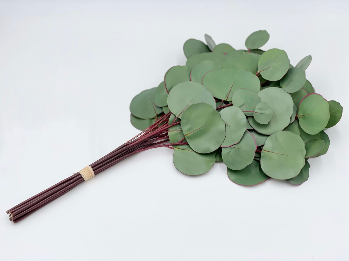 15” Silver Dollar Eucalyptus Bundle