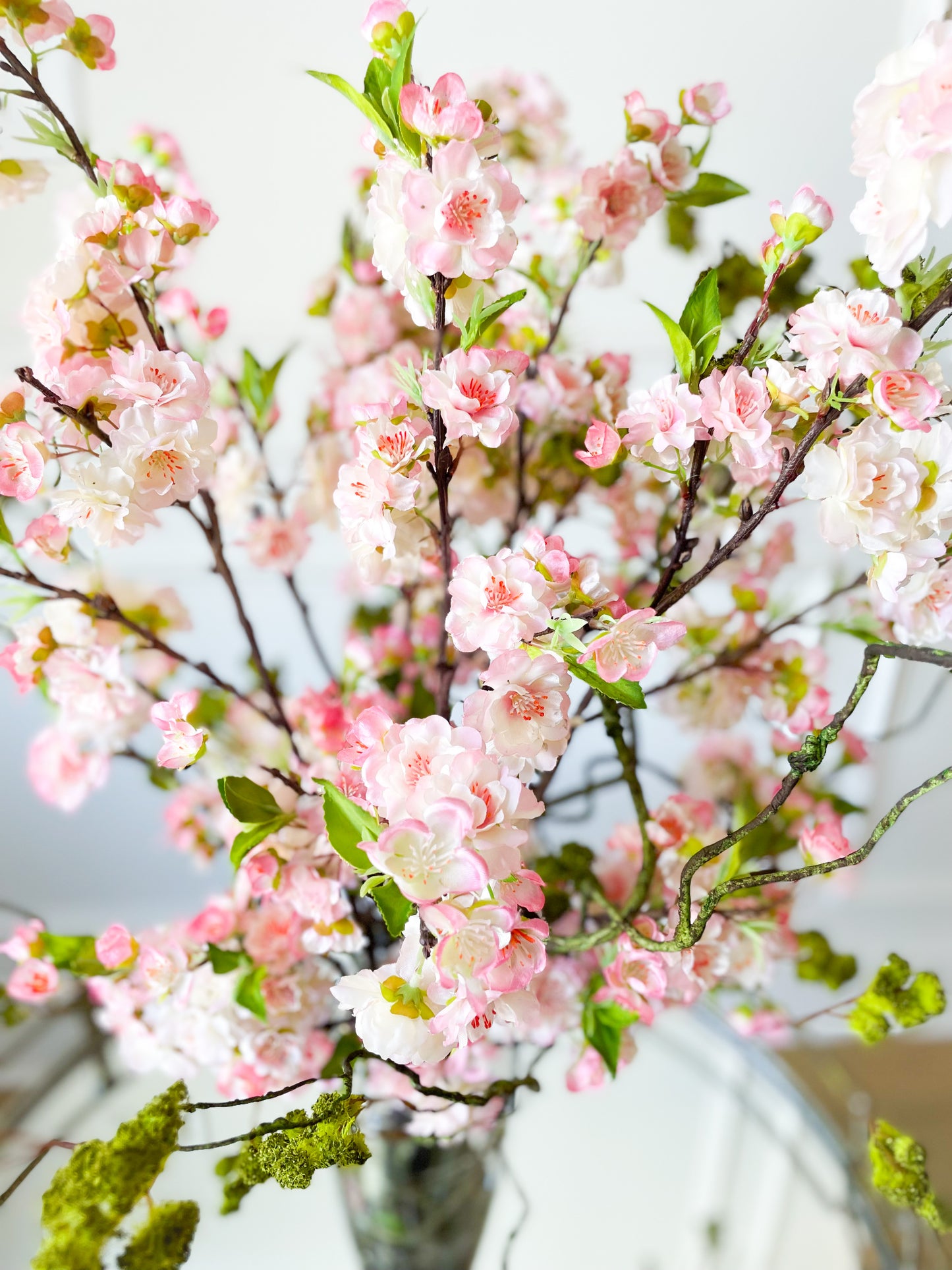 Pink Cherry Blossom Stems In Glass Vase